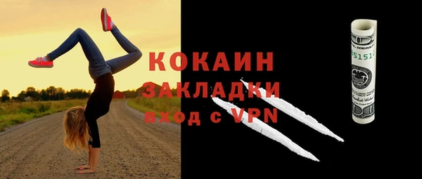 ешки Арсеньев