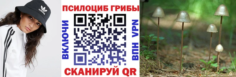 закладка  Старая Купавна  Псилоцибиновые грибы мицелий 